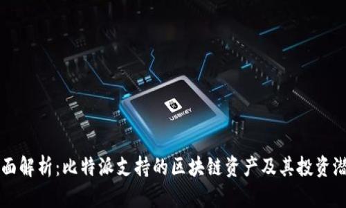 全面解析：比特派支持的区块链资产及其投资潜力