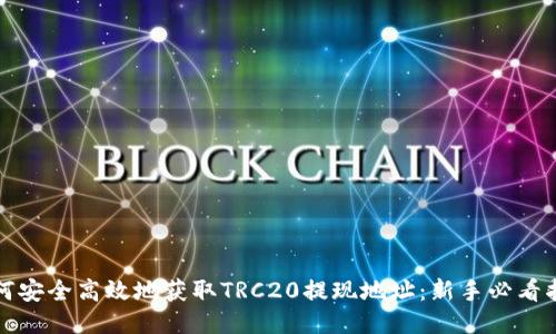 如何安全高效地获取TRC20提现地址：新手必看指南