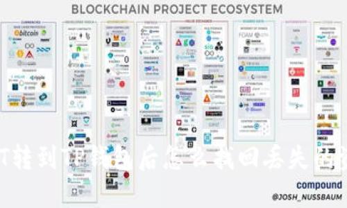 USDT转到TP钱包后怎么找回丢失的资金？