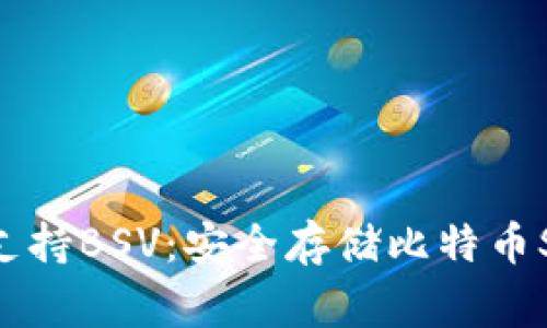 Ledger钱包支持BSV：安全存储比特币SV的最佳选择