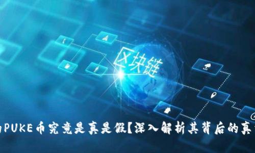 TP钱包的PUKE币究竟是真是假？深入解析其背后的真相与风险