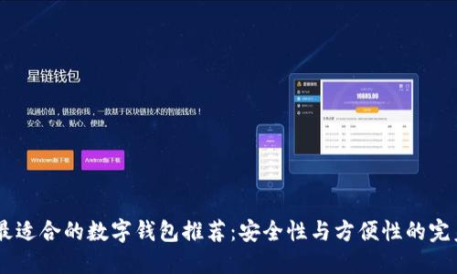 USDT最适合的数字钱包推荐：安全性与方便性的完美结合