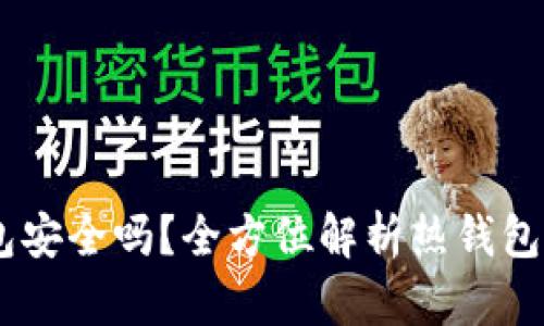 : iOS比特币热钱包安全吗？全方位解析热钱包的保护措施与风险
