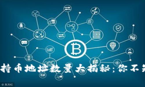2023年比特币持币地址数量大揭秘：你不知道的背后故事