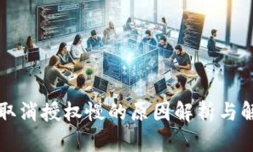 TP钱包取消授权慢的原因解析与解决方法