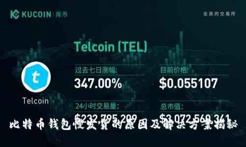 比特币钱包慢发货的原因及解决方案揭秘