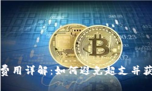 TP钱包发币费用详解：如何避免超支并获取最大价值