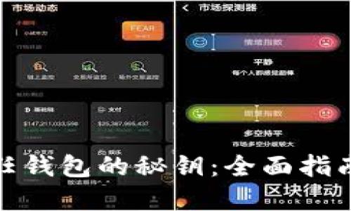 如何找到信任钱包的秘钥：全面指南与安全建议