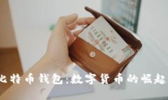 探索2012年比特币钱包：数字货币的崛起与安全性
