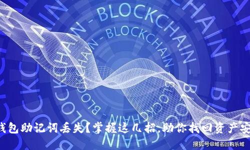 TP钱包助记词丢失？掌握这几招，助你找回资产安全！