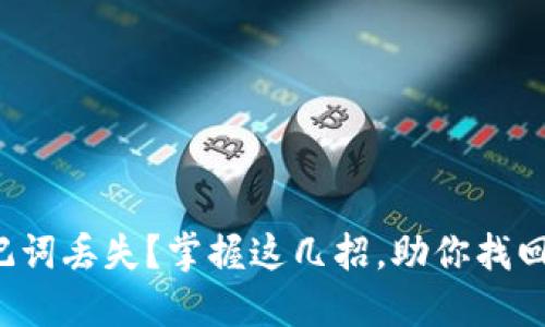 TP钱包助记词丢失？掌握这几招，助你找回资产安全！