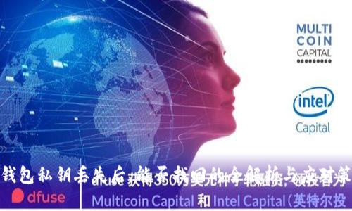 TP钱包私钥丢失后，能否找回的全解析与应对策略