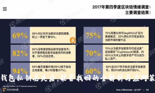 TP钱包私钥丢失后，能否找回的全解析与应对策略