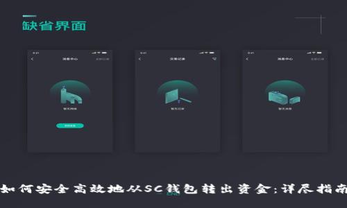 如何安全高效地从SC钱包转出资金：详尽指南