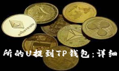 如何将欧易交易所的U提到TP钱包：详细步骤与注意事项