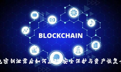 TP钱包密钥泄露后如何应对：安全保护与资产恢复全攻略