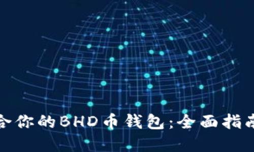 如何选择适合你的BHD币钱包：全面指南与实用建议