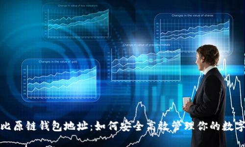 探秘比原链钱包地址：如何安全高效管理你的数字资产