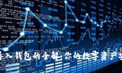 助记词导入钱包的全解：你的数字资产安全策略