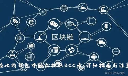 如何在比特钱包中轻松提取BCC币：详细指南与注意事项