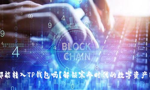 所有币种都能转入TP钱包吗？解锁寒冬时代的数字资产转移新方式