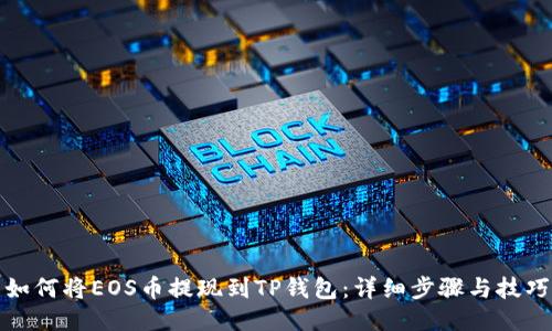 如何将EOS币提现到TP钱包：详细步骤与技巧