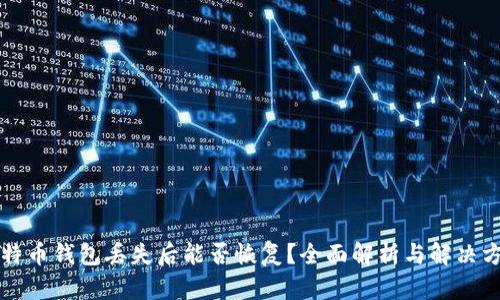比特币钱包丢失后能否恢复？全面解析与解决方法