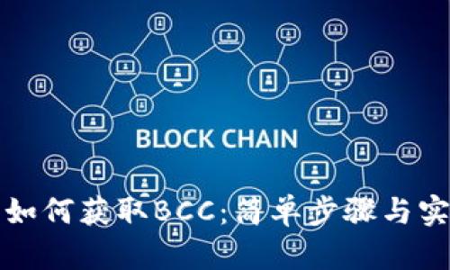 脑钱包如何获取BCC：简单步骤与实用技巧