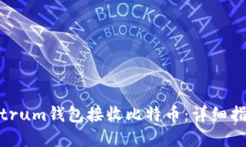 如何使用Electrum钱包接收比特币：详细指南与实用技巧