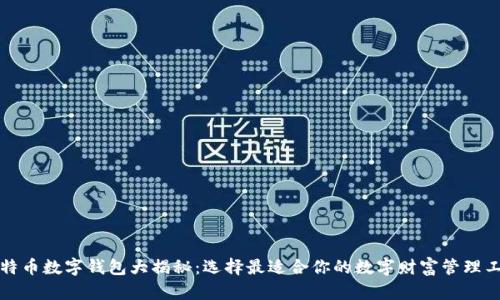 比特币数字钱包大揭秘：选择最适合你的数字财富管理工具