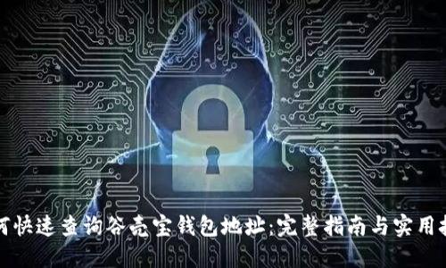 如何快速查询谷壳宝钱包地址：完整指南与实用技巧