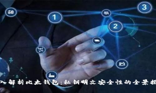 深入解析比太钱包：私钥明文安全性的全景揭秘