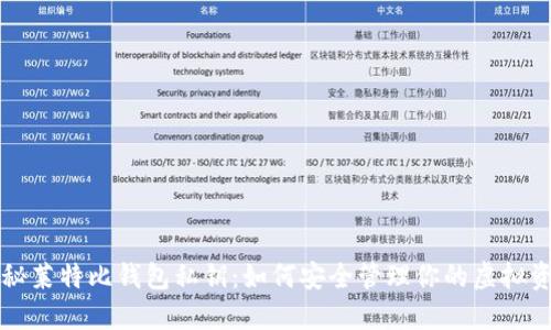 揭秘莱特比钱包私钥：如何安全管理你的虚拟资产