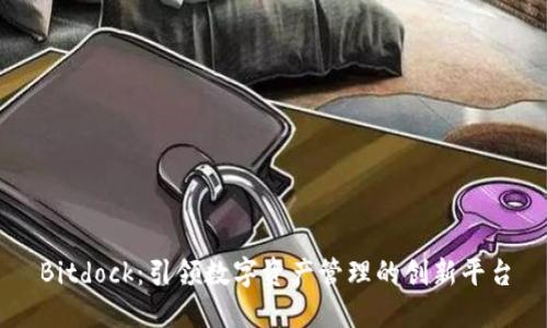 Bitdock：引领数字资产管理的创新平台