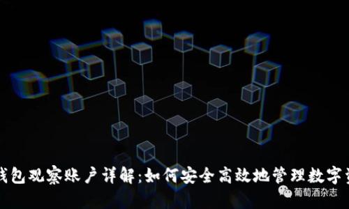 TP钱包观察账户详解：如何安全高效地管理数字资产