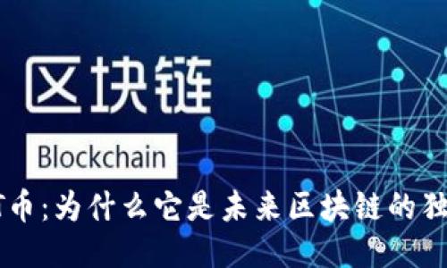 揭秘DOT币：为什么它是未来区块链的独特明星？