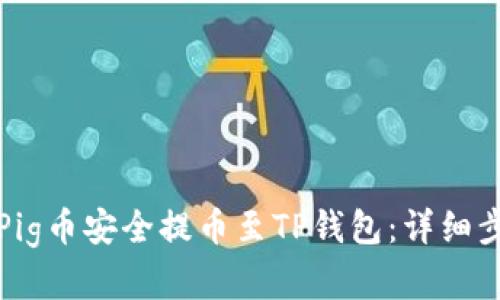 如何将Pig币安全提币至TP钱包：详细步骤解析