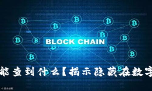 区块链钱包地址能查到什么？揭示隐藏在数字资产背后的秘密