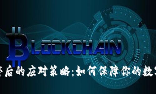 TP钱包关停后的应对策略：如何保障你的数字资产安全