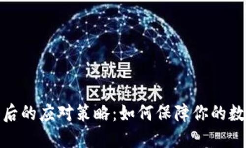 TP钱包关停后的应对策略：如何保障你的数字资产安全