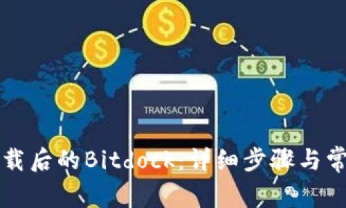 如何打开下载后的Bitdock：详细步骤与常见问题解决
