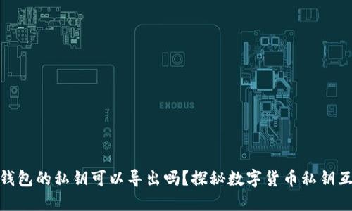 : 不同钱包的私钥可以导出吗？探秘数字货币私钥互操作性