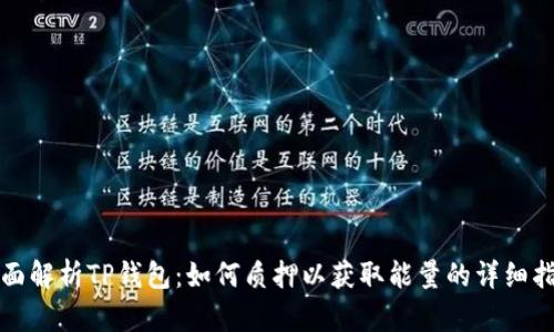 全面解析TP钱包：如何质押以获取能量的详细指南