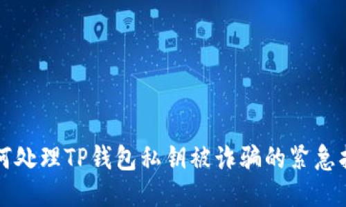 如何处理TP钱包私钥被诈骗的紧急指南