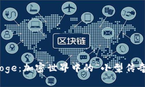 探索Baby Doge：加密世界中的“小型传奇”与独特魅力