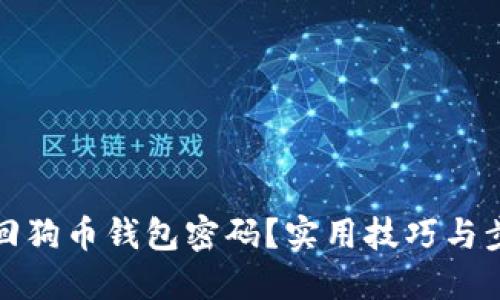 如何找回狗币钱包密码？实用技巧与步骤详解