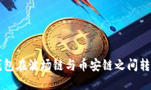 如何使用TP钱包在波场链与币安链之间转移U币：全指南