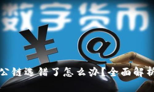 TP钱包转账公链选错了怎么办？全面解析与解决方案