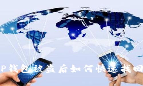 知乎用户分享：TP钱包被盗后如何快速找回资产的实用指南