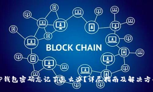 TP钱包密码忘记了怎么办？详尽指南及解决方案